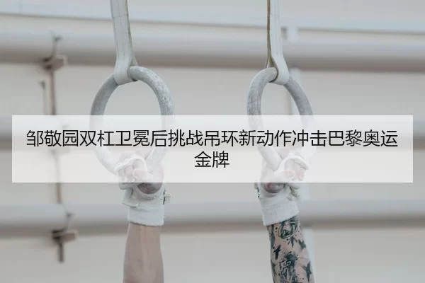 zou-jing-yuan-shuang-gang-wei-mian-hou-tiao-zhan-diao-huan-xin-dong-zuo-chong-ji-ba-li-ao-yun-jin-pai-2-565.jpg